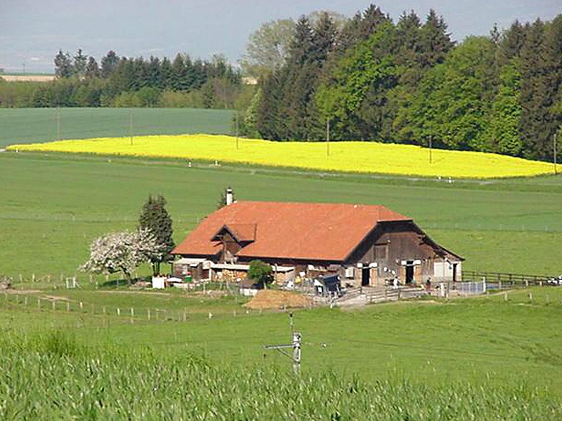 batiment_communal_fey_12