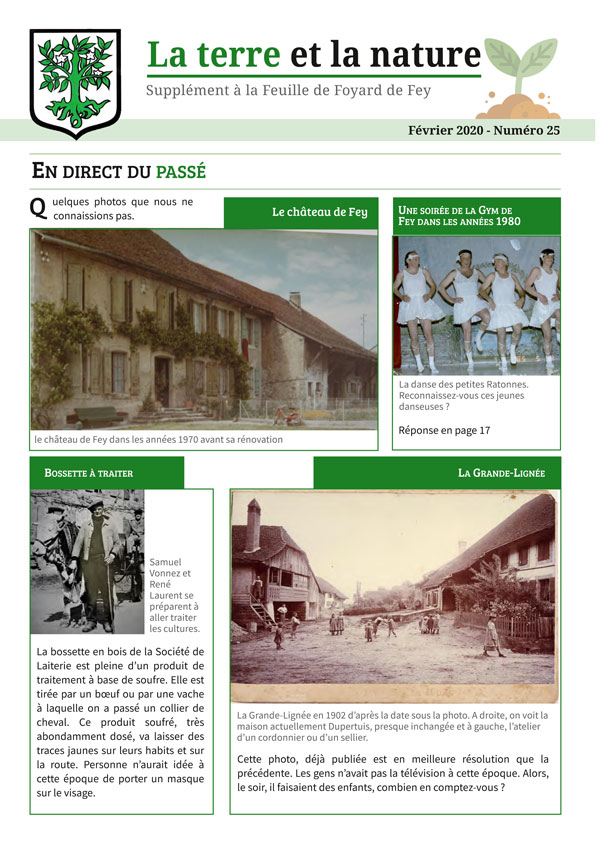 FFF-025-supplement-terre